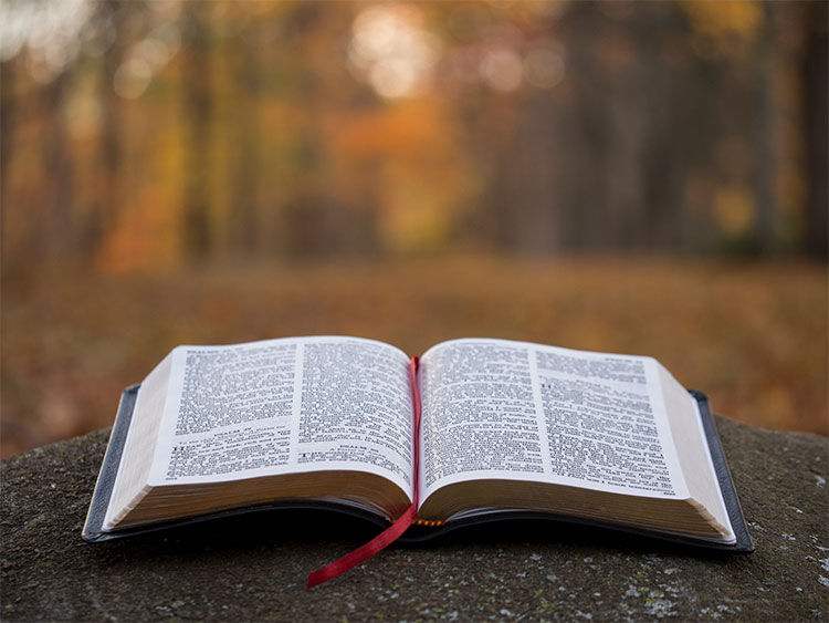 Bible open on laying on a rock